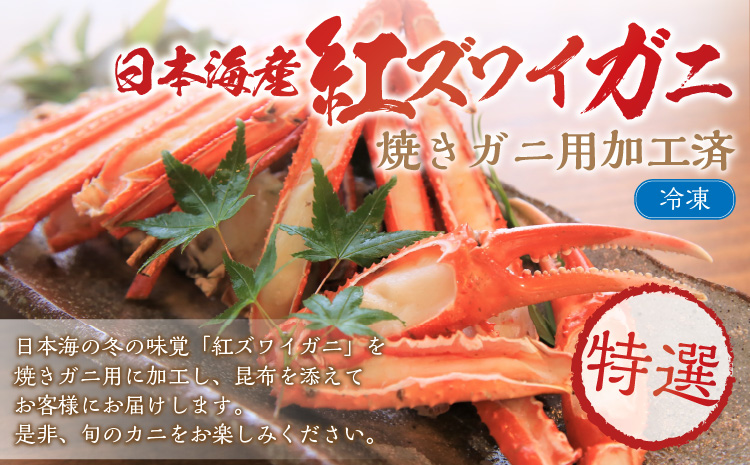 日本海産紅ズワイガニ