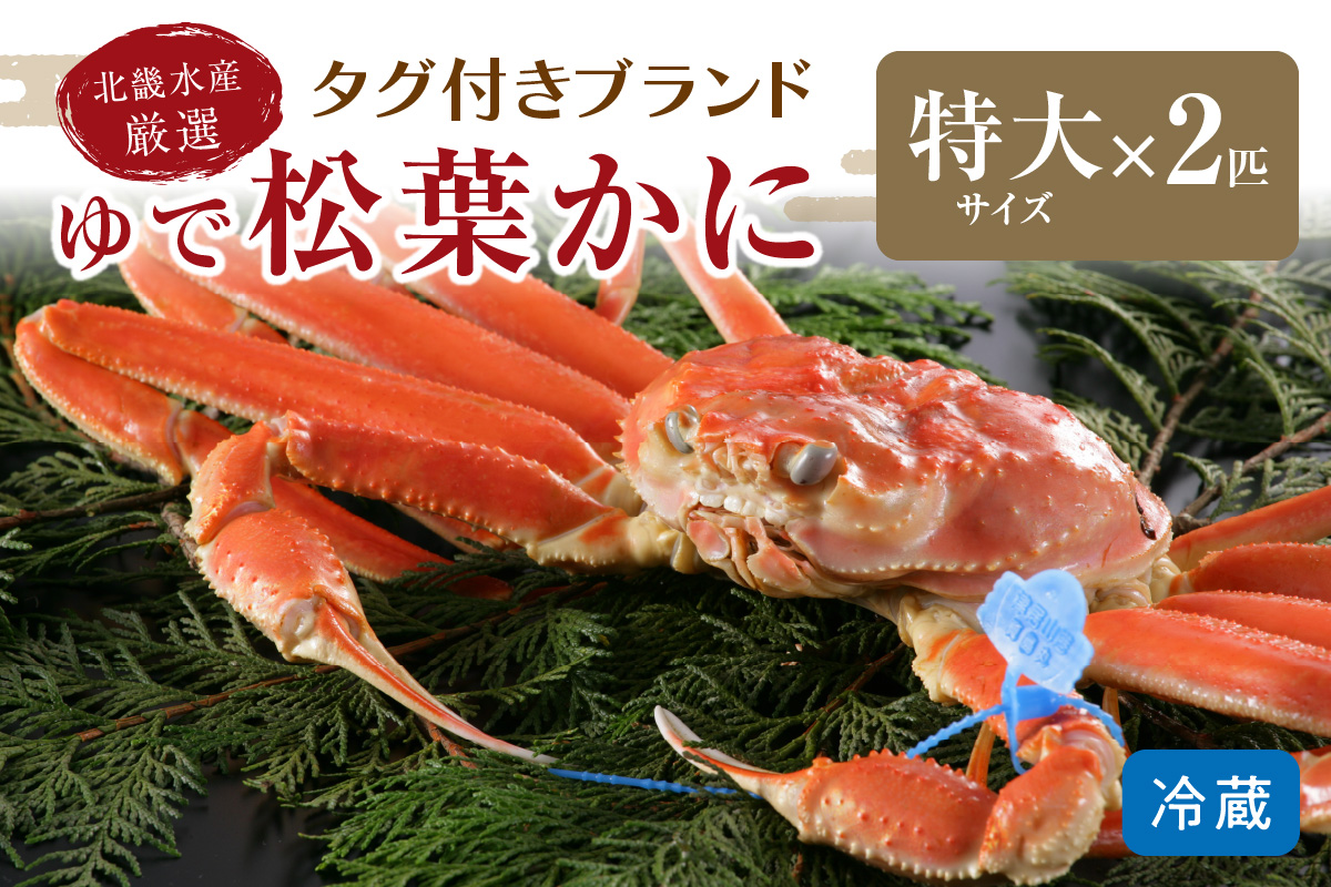 日本未入荷 さとふるふるさと納税 京丹後市 日本海産 茹で松葉蟹中大サイズmatubakani800