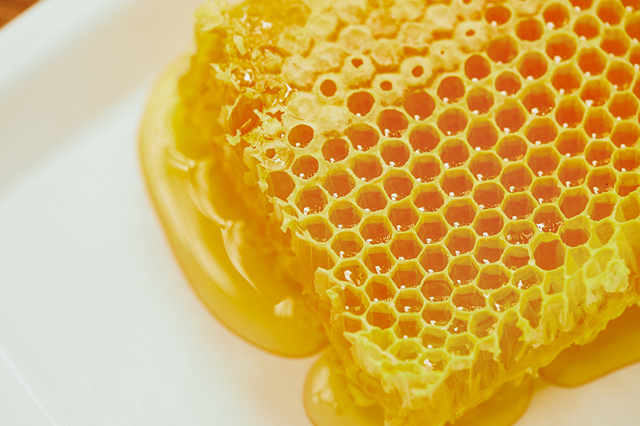 巣蜜から溢れ出す蜂蜜の輝きが美しい。